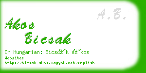 akos bicsak business card